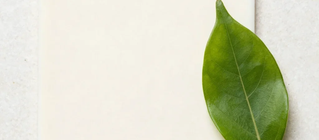 Demystifying Botanical Actives for Natural Daily Glow